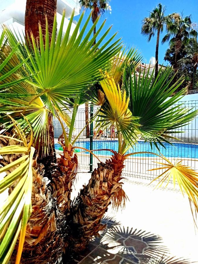 Parque Cattleya Tenerife Playa de las Americas  Exterior photo